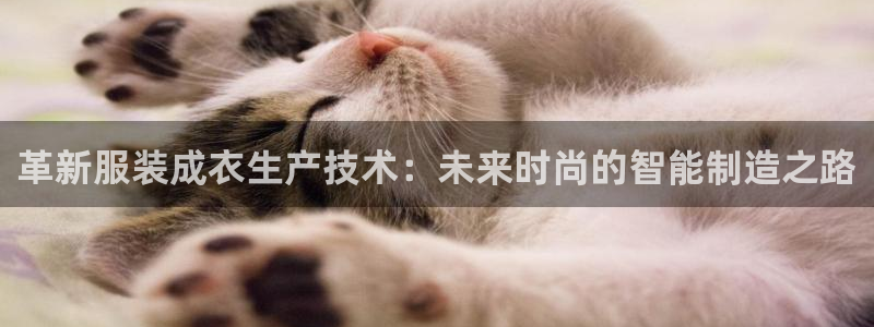 天辰娱乐挂机