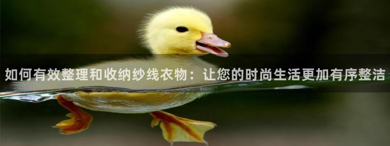天辰娱乐下载地址