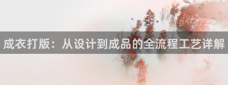 广东天辰娱乐