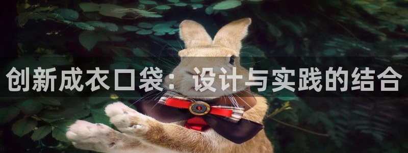 天辰娱乐总管年薪