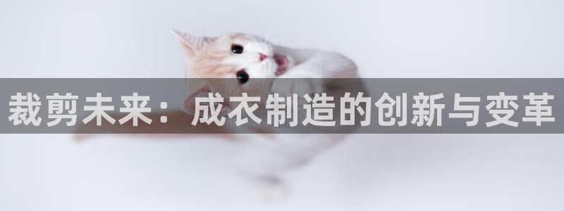 天辰娱乐 231639