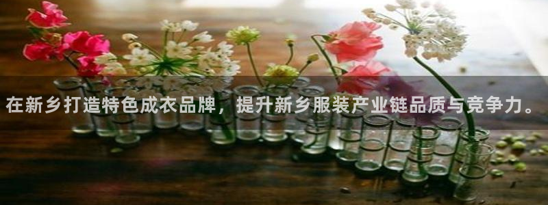 天辰娱乐总管年薪