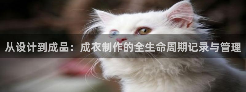 天辰娱乐地址