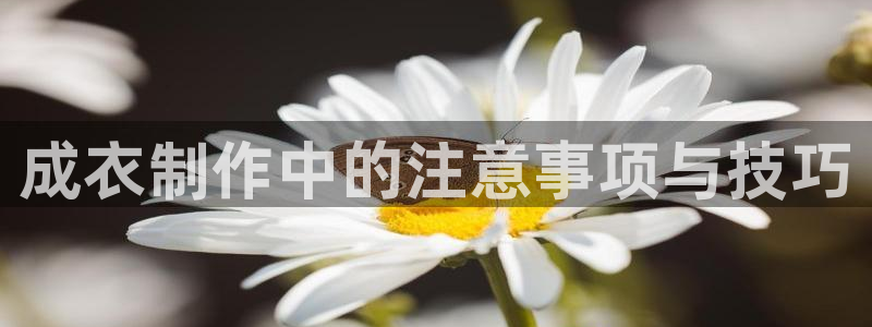 天辰娱乐股票