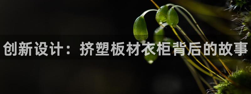 天辰娱乐 18113