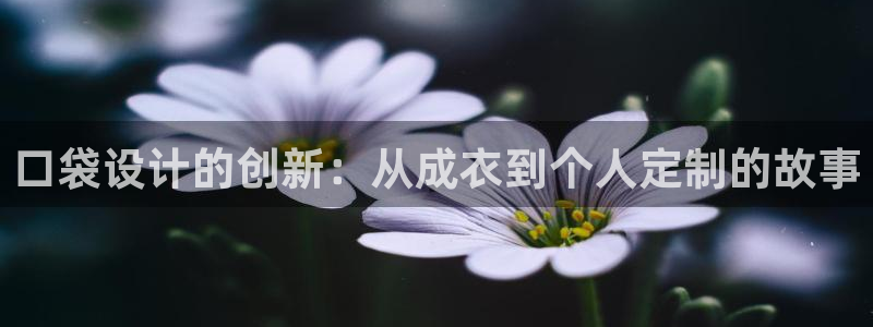 天辰团队贝高娱乐