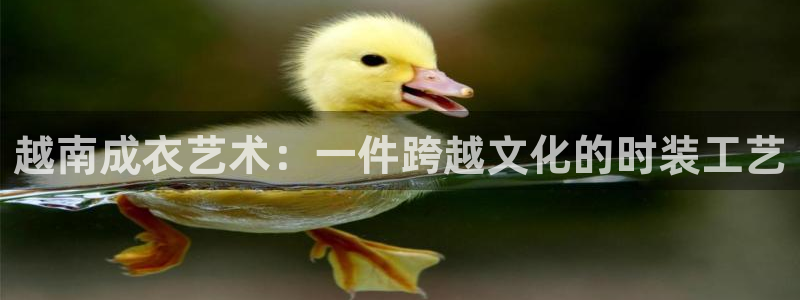 天辰娱乐
