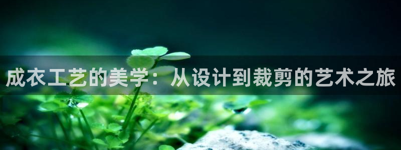 天辰娱乐黑人