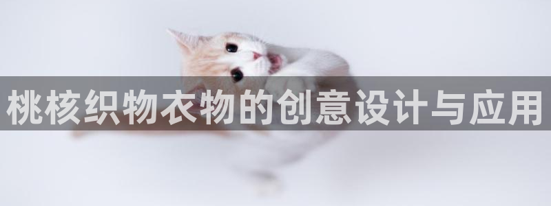 天辰娱乐黑人