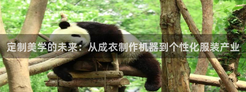 天辰娱乐维护