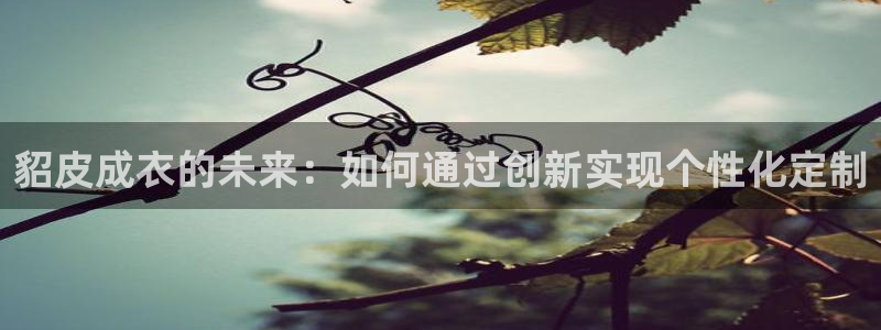 天辰天辰娱乐