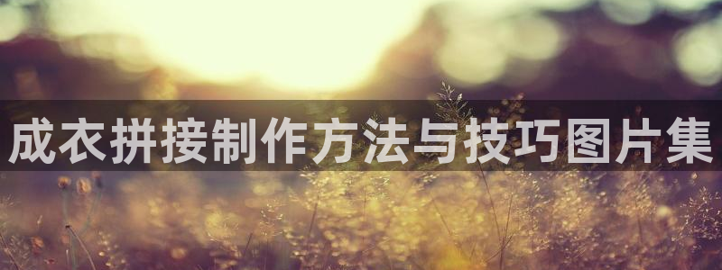 天辰娱乐网