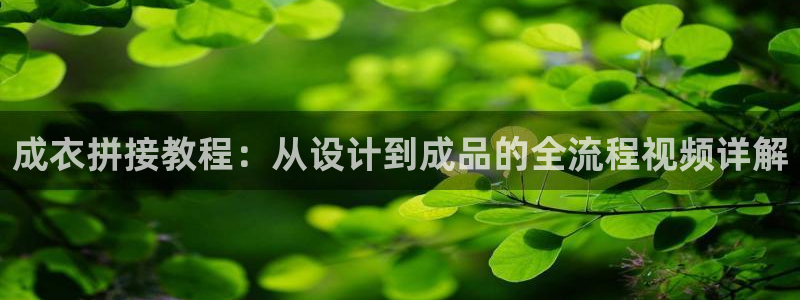 天辰娱乐鱼刺