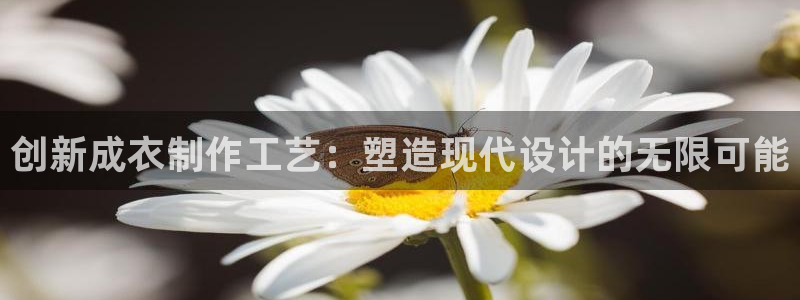 天辰娱乐小姐