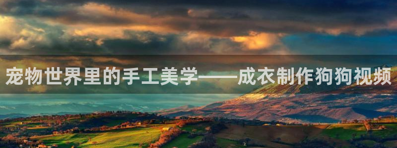 广东天辰娱乐