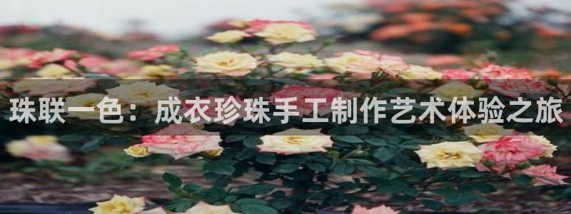 广东天辰娱乐
