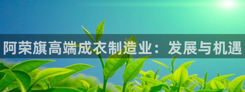 天辰娱乐维护