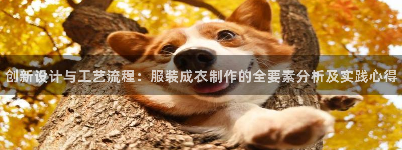 天辰娱乐会员
