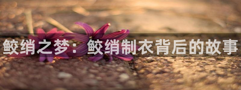 天辰娱乐 44516