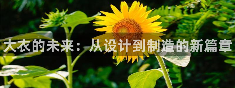 天辰娱乐白屏