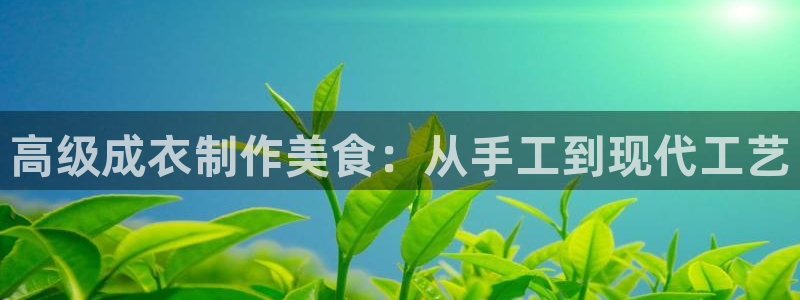 天辰娱乐官网平台入口