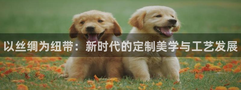 天辰娱乐元宝