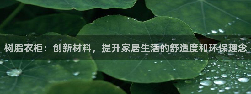 天辰娱乐所