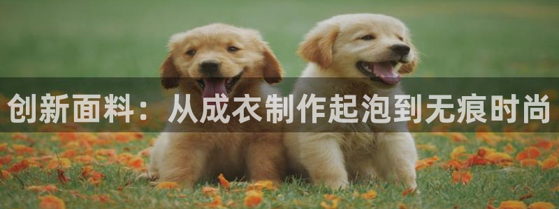 天辰娱乐集团
