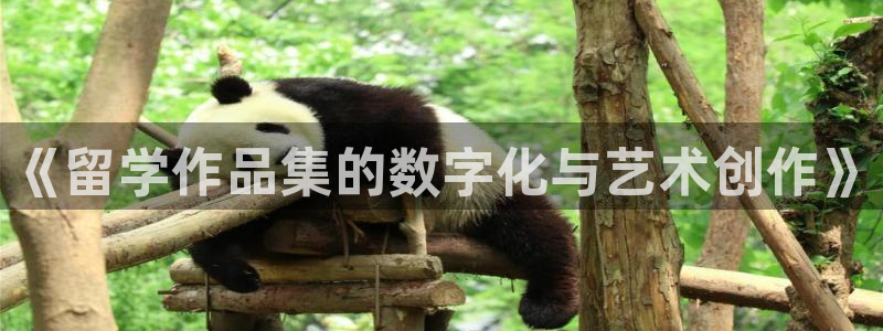 天辰娱乐线路